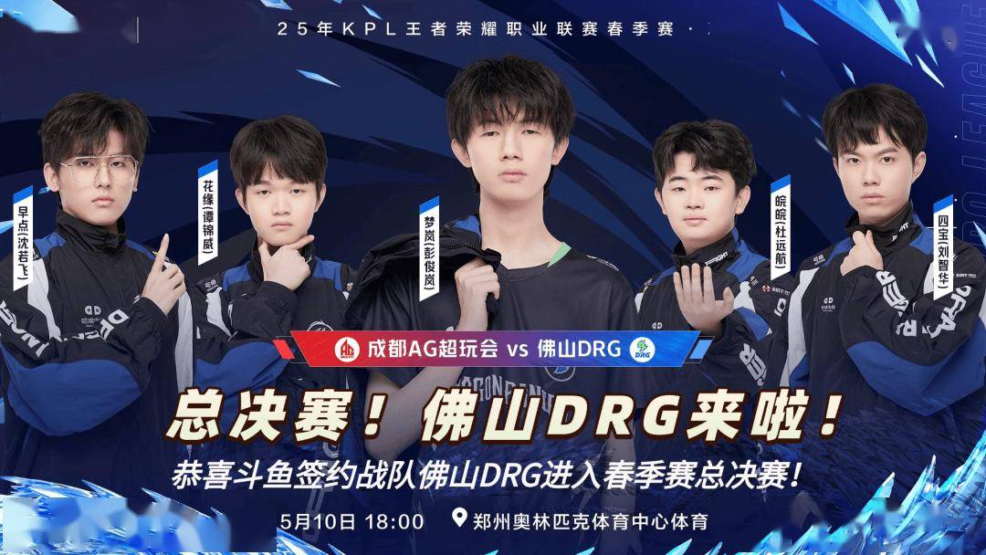 鹅毛或鸭毛 鹅毛或鸭毛