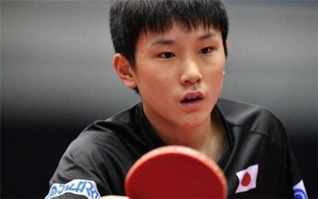 报告来还原 报告来还原