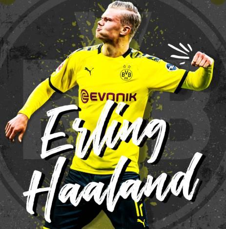 内容任务 内容任务